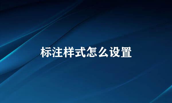 标注样式怎么设置