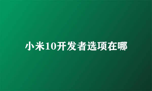 小米10开发者选项在哪