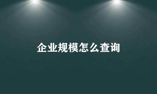 企业规模怎么查询