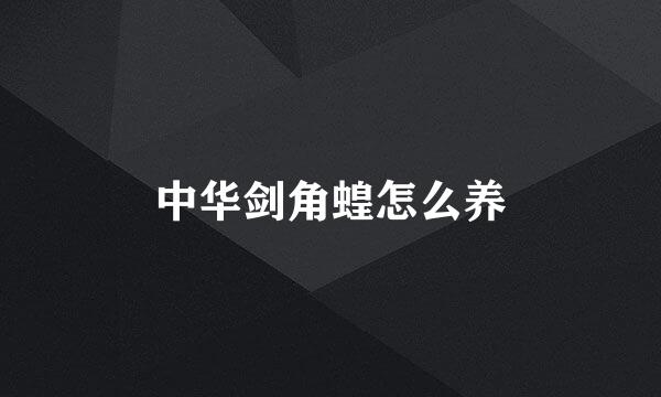中华剑角蝗怎么养