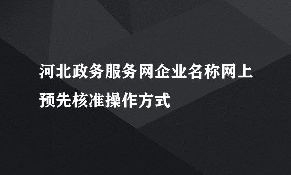 河北政务服务网企业名称网上预先核准操作方式