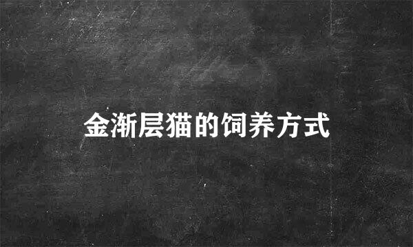 金渐层猫的饲养方式