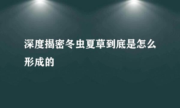 深度揭密冬虫夏草到底是怎么形成的