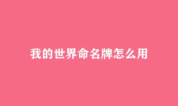 我的世界命名牌怎么用