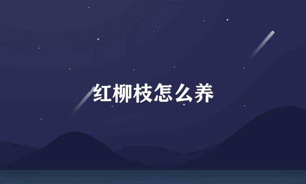 红柳枝怎么养