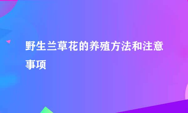 野生兰草花的养殖方法和注意事项