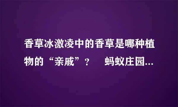 香草冰激凌中的香草是哪种植物的“亲戚”？‌蚂蚁庄园问题答案