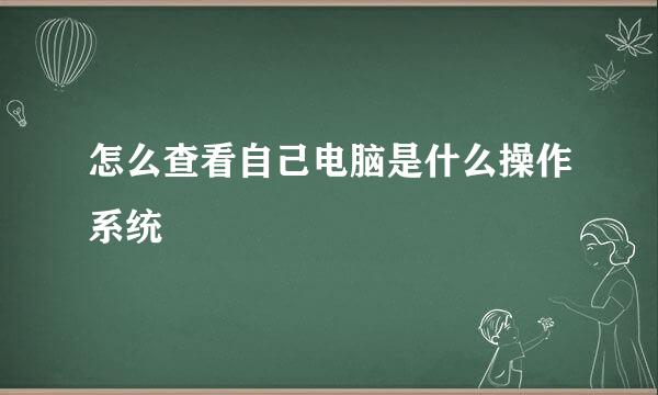 怎么查看自己电脑是什么操作系统
