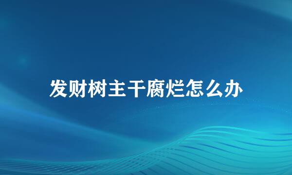 发财树主干腐烂怎么办