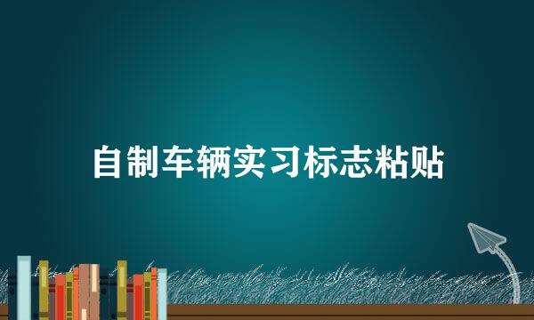 自制车辆实习标志粘贴