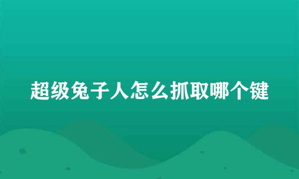 超级兔子人怎么抓取哪个键