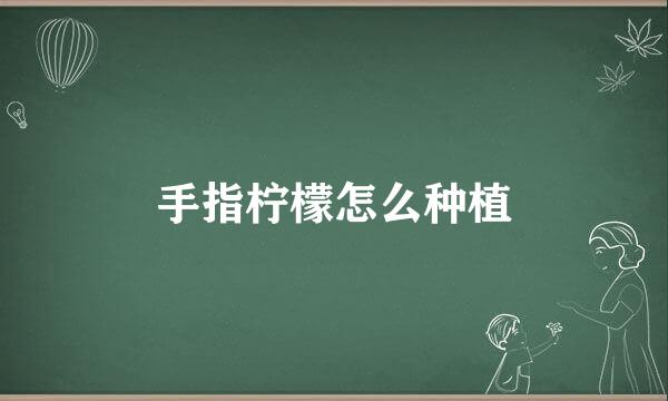 手指柠檬怎么种植