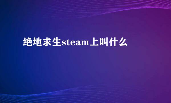 绝地求生steam上叫什么