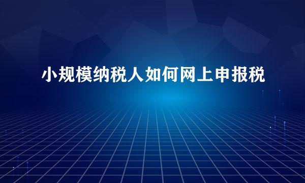小规模纳税人如何网上申报税