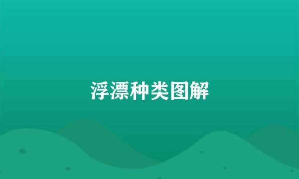 浮漂种类图解