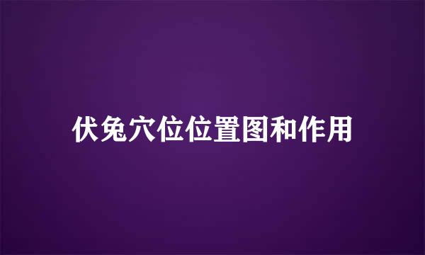 伏兔穴位位置图和作用