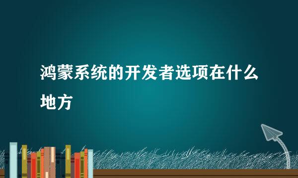 鸿蒙系统的开发者选项在什么地方