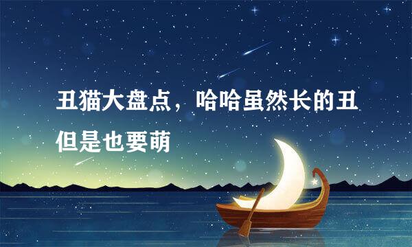 丑猫大盘点，哈哈虽然长的丑但是也要萌