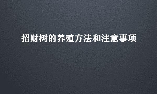 招财树的养殖方法和注意事项