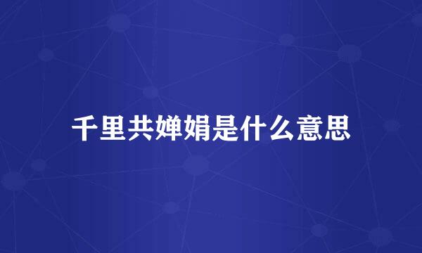 千里共婵娟是什么意思