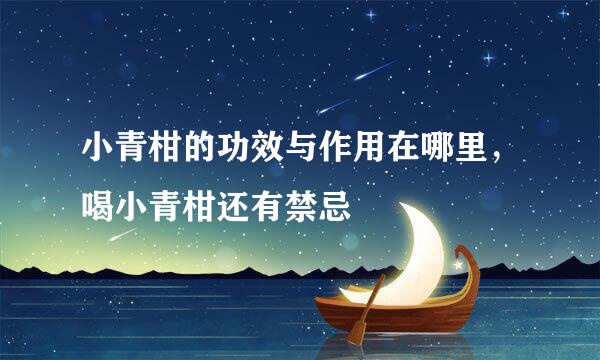 小青柑的功效与作用在哪里，喝小青柑还有禁忌