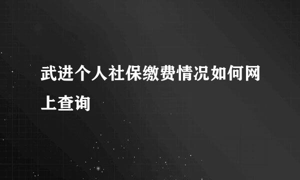 武进个人社保缴费情况如何网上查询