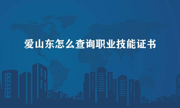 爱山东怎么查询职业技能证书