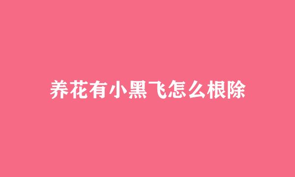 养花有小黑飞怎么根除