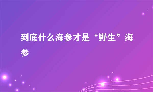 到底什么海参才是“野生”海参