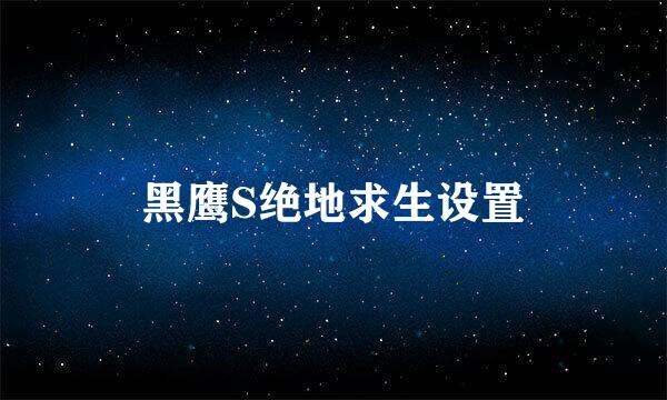 黑鹰S绝地求生设置