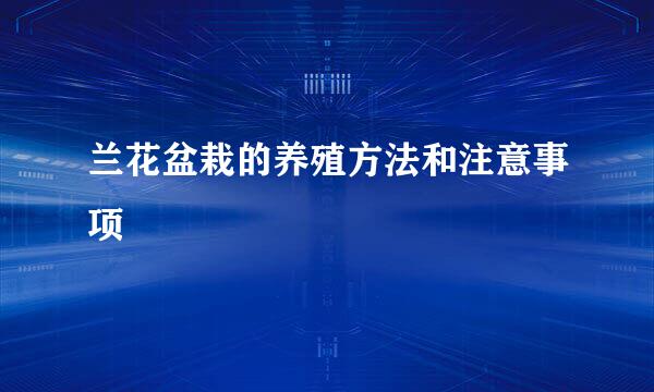 兰花盆栽的养殖方法和注意事项