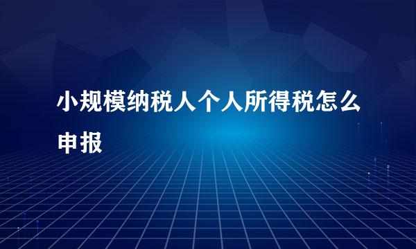 小规模纳税人个人所得税怎么申报