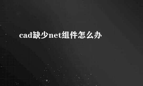 cad缺少net组件怎么办