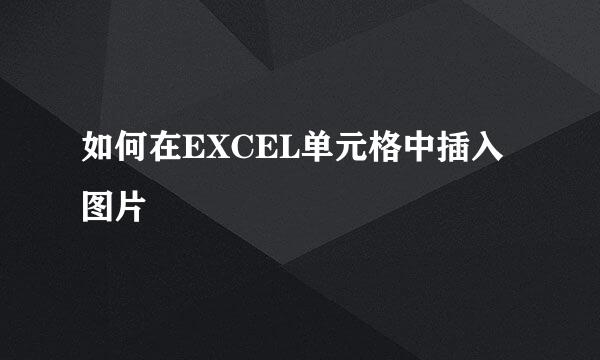 如何在EXCEL单元格中插入图片