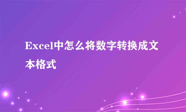 Excel中怎么将数字转换成文本格式
