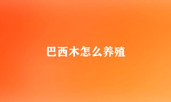 巴西木怎么养殖