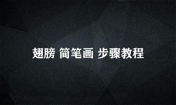 翅膀 简笔画 步骤教程
