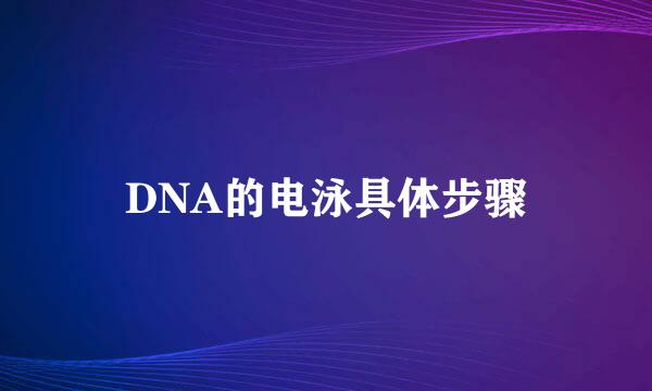 DNA的电泳具体步骤