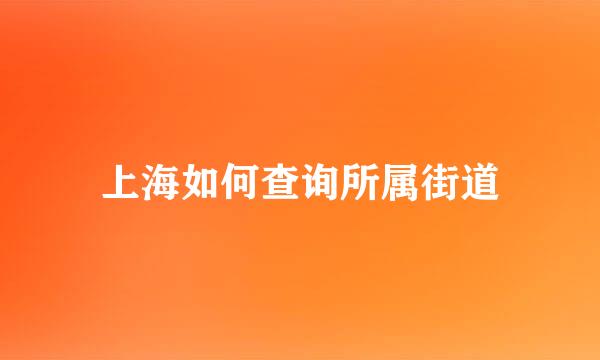 上海如何查询所属街道