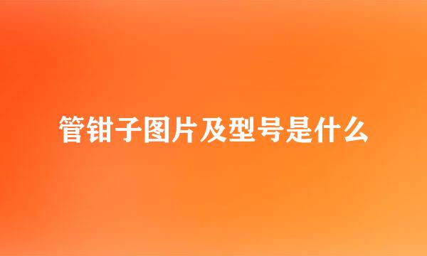 管钳子图片及型号是什么