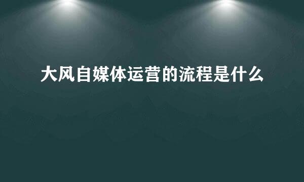 大风自媒体运营的流程是什么