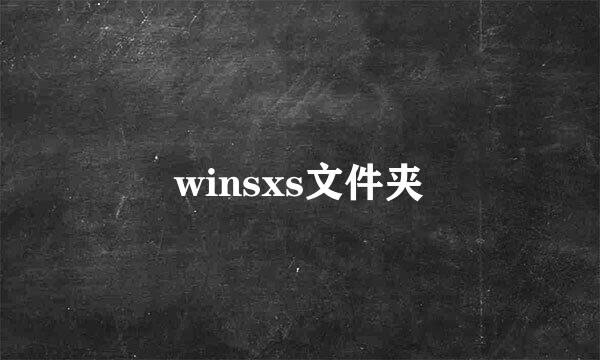 winsxs文件夹