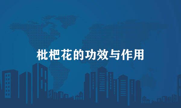 枇杷花的功效与作用