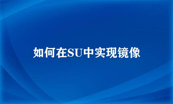 如何在SU中实现镜像