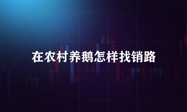 在农村养鹅怎样找销路