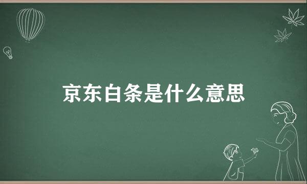 京东白条是什么意思