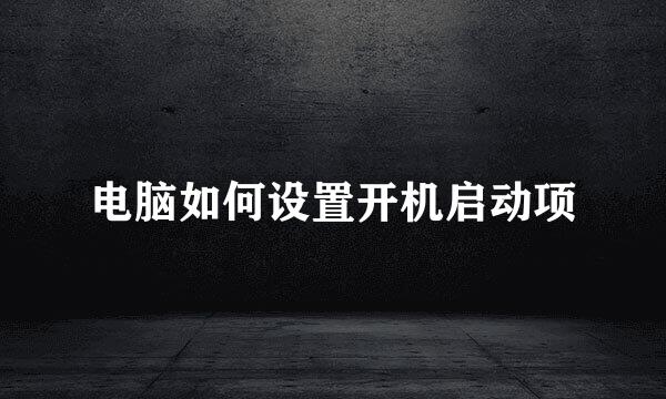 电脑如何设置开机启动项