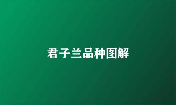 君子兰品种图解