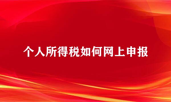 个人所得税如何网上申报