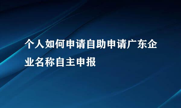 个人如何申请自助申请广东企业名称自主申报